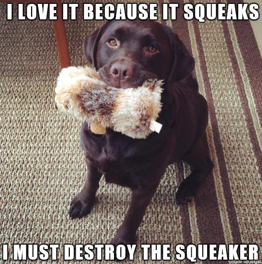 MensHumor's tweet photo. Dog Logic http://t.co/pXsitYkFfe