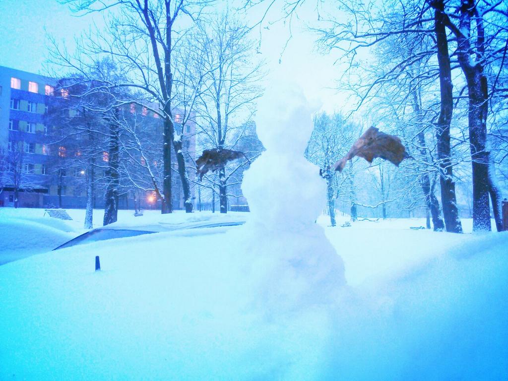 MaraVilnite's tweet photo. My very first snowman in this winter :) http://t.co/nFYngSq0bg