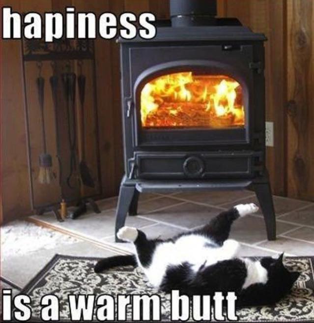 PopEvilTerri's tweet image. @MattDiRito #SNIGGLE  Had to share :)