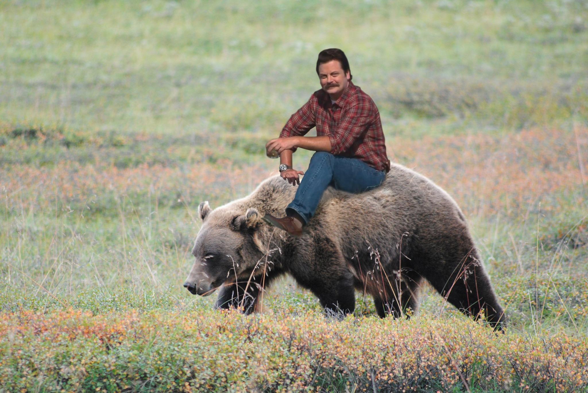 Ron Swanson on a grizzly bear