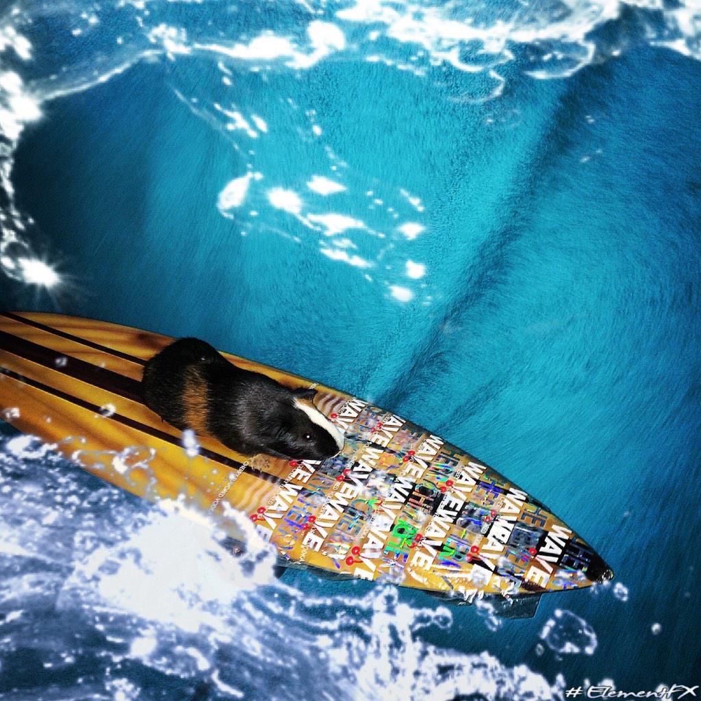 ItsMiloBetch's tweet image. My dads keep talking about riding the wave tonight so I figured I'd give it a try 🏄 @WAVE_Vodka