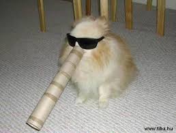 Humate333's tweet image. animals in the lead