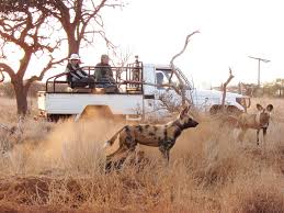 dm_rights's tweet photo. Want to film and shoot in the wild? You need a permit for that. #film #permit http://t.co/hdCtOHGS9B