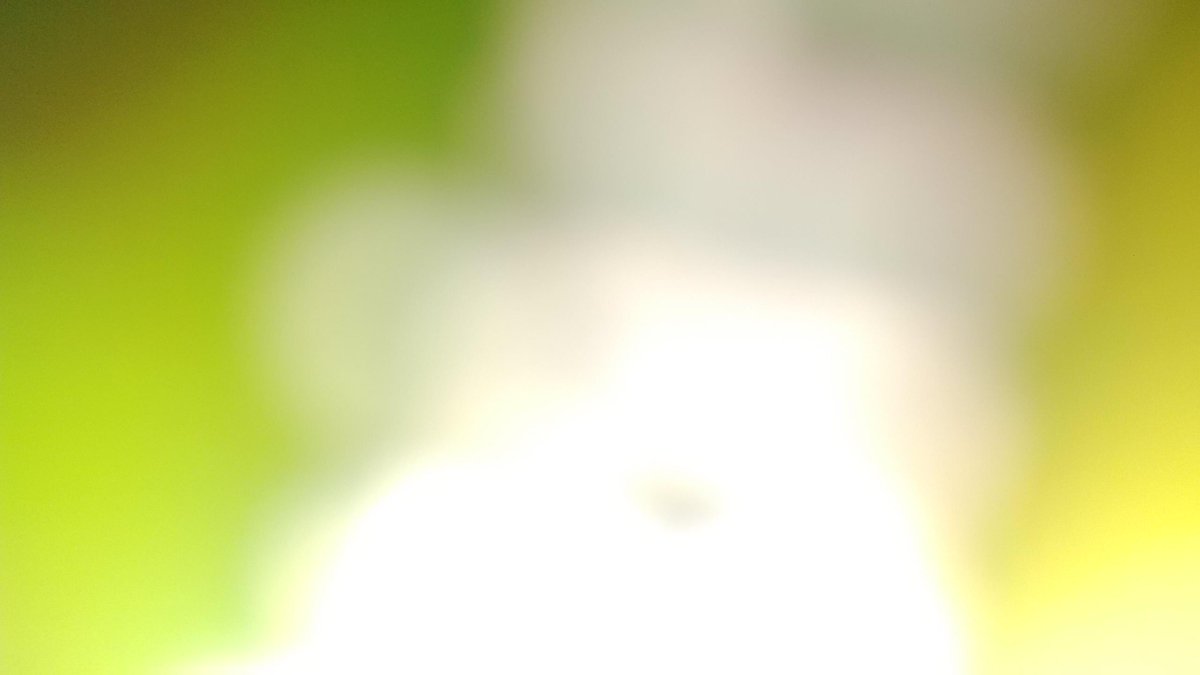 sqolisile tweet picture
