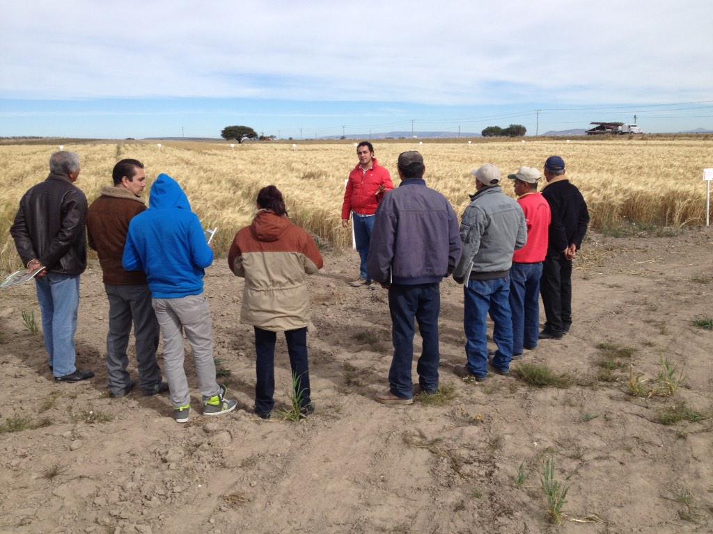 PlataformasGTO's tweet photo. Visita productores #Ojuelos #Jalisco #Aguascalientes a #PlataformaOcampo @MasAgroGto @MasAgPlataforma @asosid http://t.co/Kac49koMzK