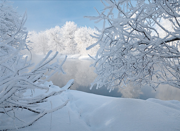 PlanetSob's tweet image. #УтраДоброго! #Amgood!