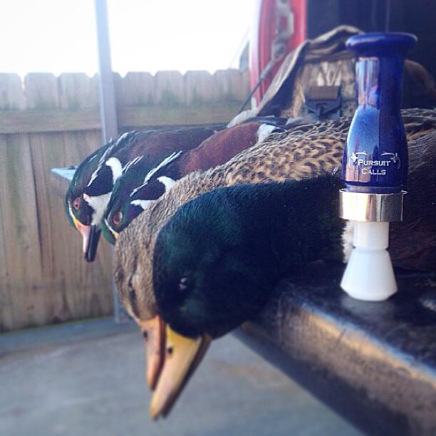 PursuitC's tweet photo. Can't complain about the solo hunt this morning. http://t.co/puiAJvlkQE