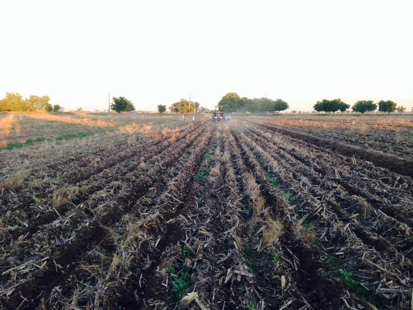 PazTrueba's tweet photo. @BramACCIMMYT @MasAgPlataforma #inicio de siembra de maiz en Plataforma MasAgro-AARSP http://t.co/Oy4owL86da