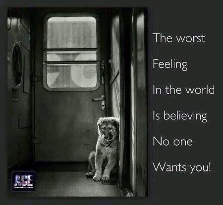loridowney3's tweet photo. .@LCAnimalRescue YW!
Others please donate here to help SAVE #WelshPoundDogs 🙏
👉 http://t.co/seNfK17stF
Thanks! ❤️🐶❤️ http://t.co/097jNAAc69