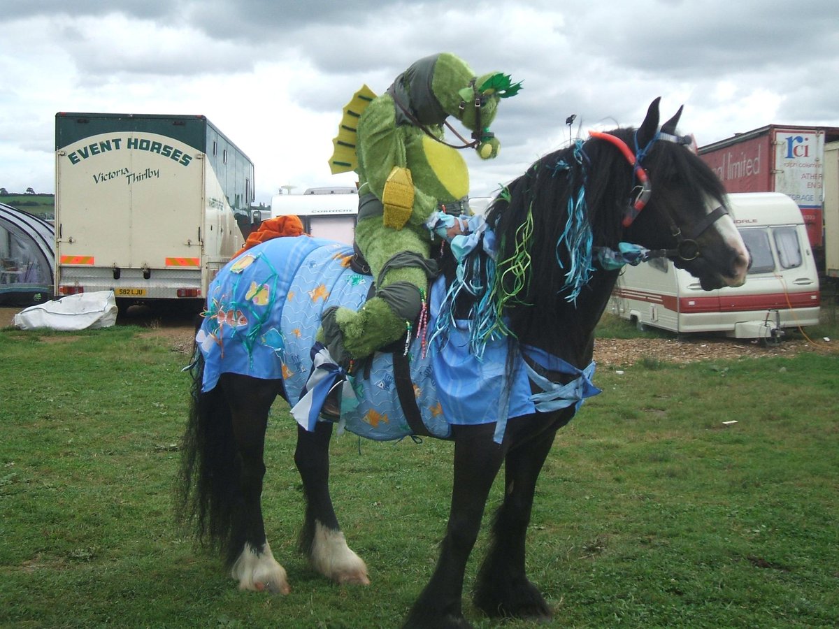 PurringSmokey's tweet photo. This is me and Danny in the fancy dress class at teh Royal London show. We are dressed as a "Sea horse" #wlf http://t.co/YNz13Da3kB