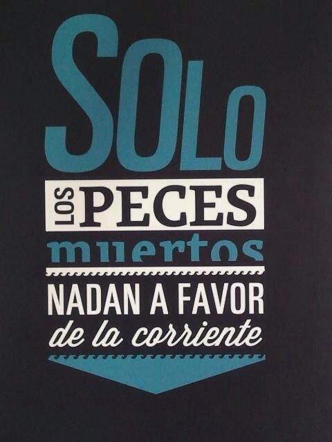miguelvivasruiz's tweet photo. http://t.co/Q0sY77JVdw