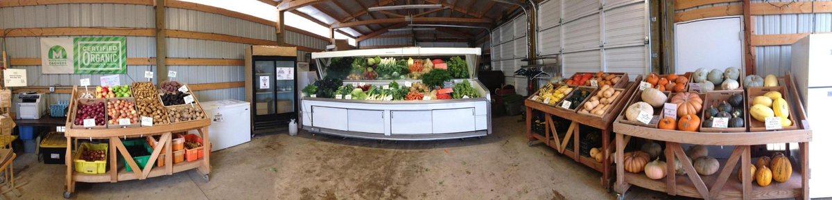 Elizabeth Miller tweet media