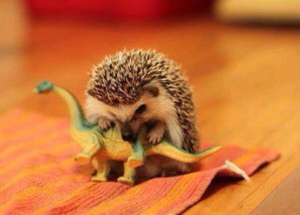 Pandamoanimum's tweet photo. The stills from the new Jurassic Park film look amazing. http://t.co/KElnnnopjS