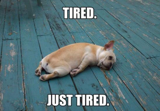 Nexsan's tweet photo. In the #datacenter we save energy with #AutoMAID. On #Thanksgiving we save energy with naps... http://t.co/54CO74pvCF http://t.co/LWzHSwzu2G