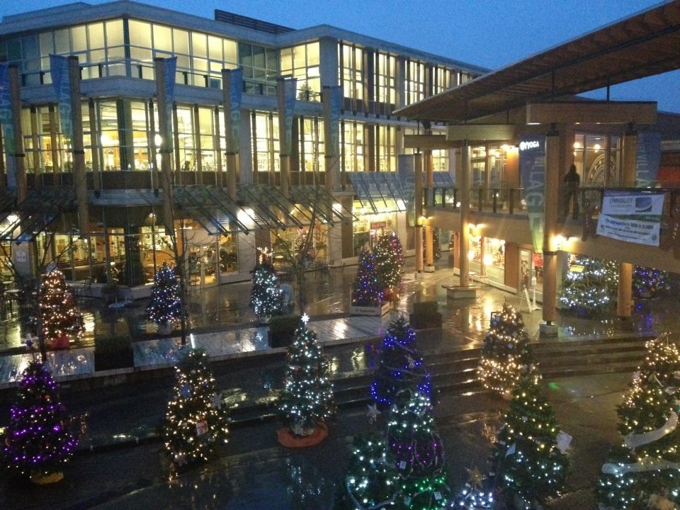 Lynn Valley Christmas Tree Walk, Lighting ceremony Nov 30 4:30 - 5:30 goo.gl/arIsOa
#Christmas #Northshore
