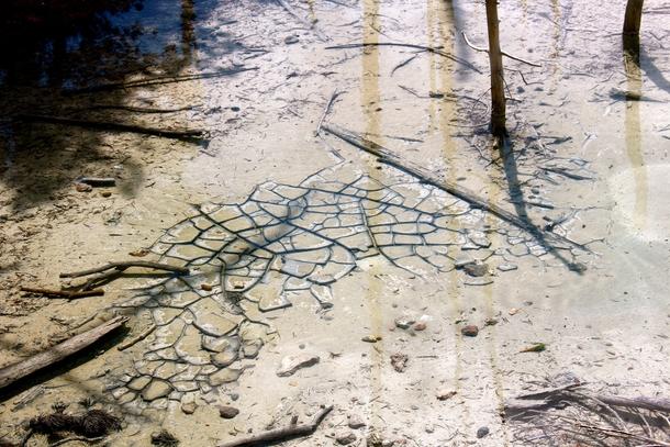 photorator1's tweet image. Clear #landscape #clearest #water #seen #yellowstone #national #park #photography photorator.com/photo/49763