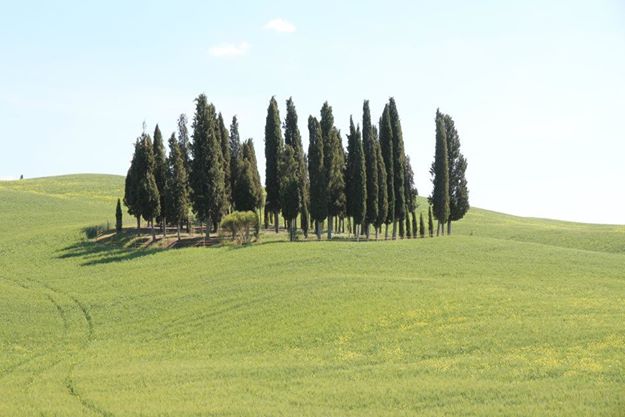 simonilla23's tweet photo. @mesupistravels @FourSeasons My quiet spot is under trees in a green tuscan hill #Siena #30DaysofEnergy http://t.co/vMjKBx7Ncx