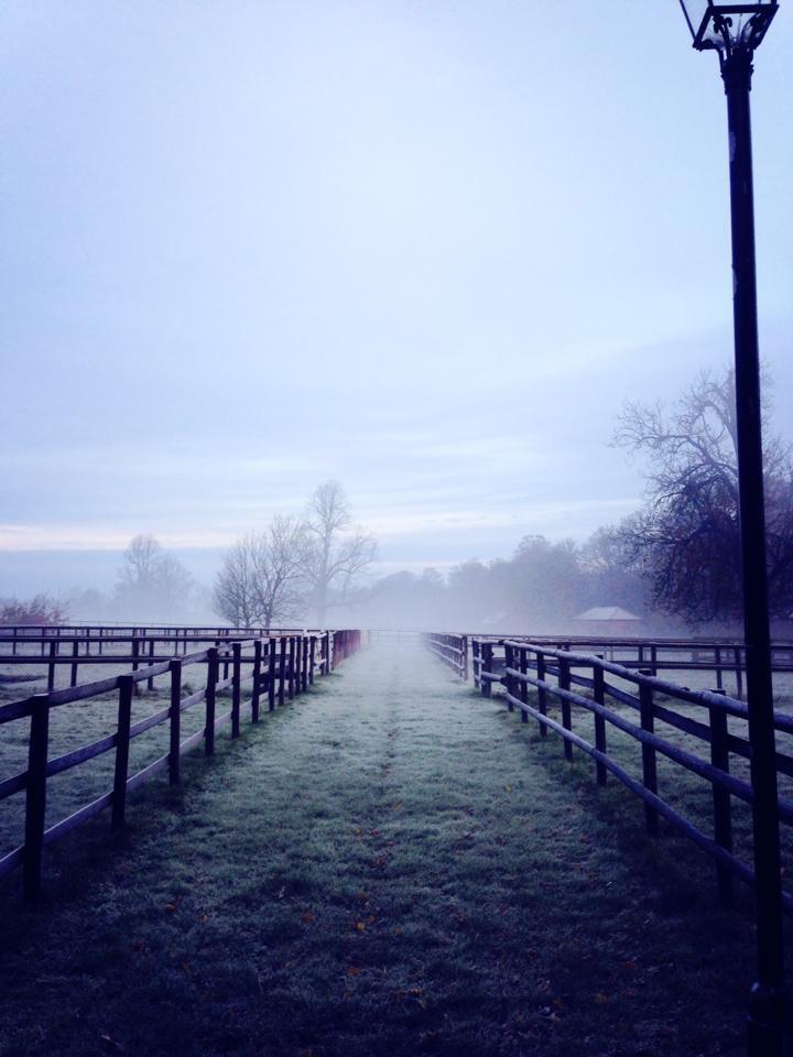 Tim Gredley tweet media