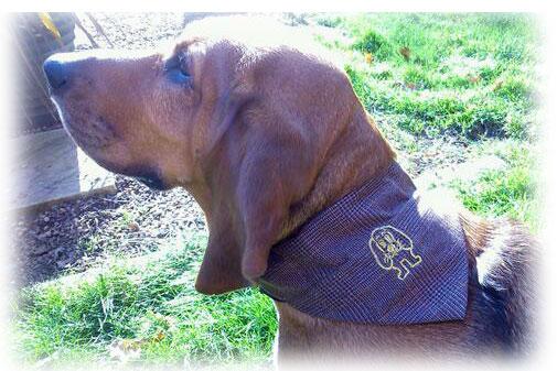 Zukiestyle's tweet photo. the #Rubymonster range #roobyroo #dogabouttown join the #Rubyrevolution http://t.co/9KKwp4vfFk #tweetursis http://t.co/YyZkzP4prx