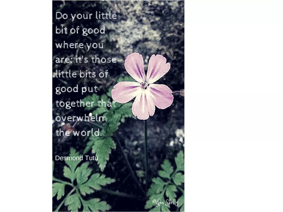 B_1nspired's tweet photo. Do your little bit of good where you are...#desmondtutu #inspiredquotes #myphotography http://t.co/sadkIEZYlr