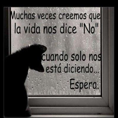 Beatrula's tweet photo. http://t.co/Q649CcpnsV
