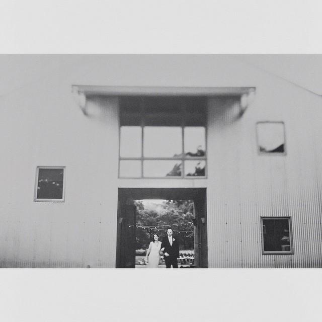 Rain can't stop us. With <a href="/birddogwedding/">Bird Dog Wedding</a> @brookehowsley @royalfigcatering #theplantatkyle #heycupcake