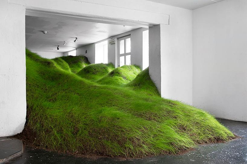designboom's tweet photo. per kristian nygård grows #grass #landscape in #olso gallery #nature http://t.co/AK9XrOeubY http://t.co/RhPs0MDSg3