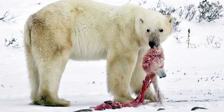 zenwei's tweet image. "@businessinsider: 17 shocking photos that show how global warming is everywhere read.bi/1thkiRC http://t.co/EjkdMBlxnu"中国雾霾的时候还要关心变暖