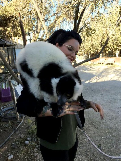 I held lemurs. Their little hands are so soft http://t.co/sxA1KKHJR5<a href="/tag/mackmonday"class="tags"><span>#mackmonday</span></a><a href="/tag/mackbooty"class="tags"><span>#mackbooty</span></a>