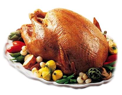 CuteMunkCody's tweet photo. I Can't wait for thanksgiving day    cause Turkey's are fun to eat but more fun to chase @TheSweet_Munk http://t.co/RvqJ0O4Gd1