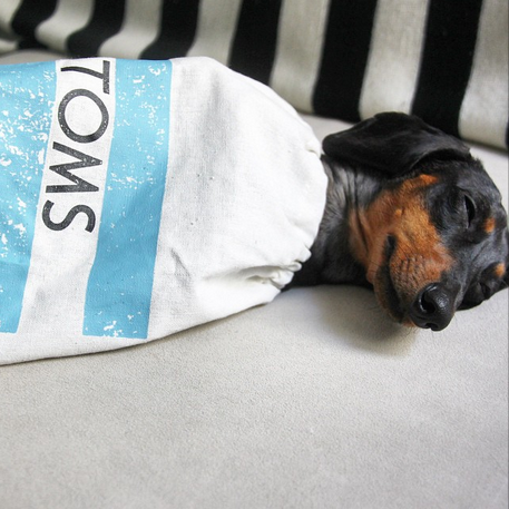 dog sleep sack