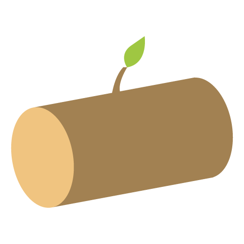 Toronto Made tweet media