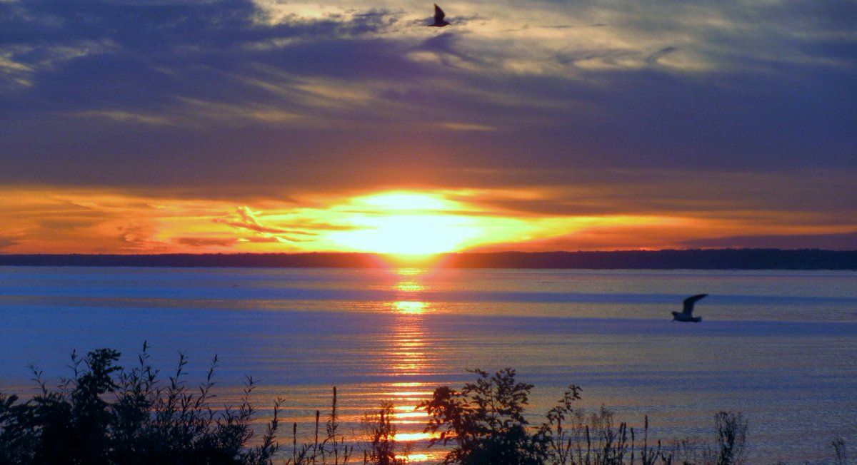 Share4Jesus's tweet photo. Thx 4 Sharing more of #Godโs #Beautiful #Creation
RT @RareCat #TheVoiceSaveRyan Ryan is in again http://t.co/FYhTCJ7SZ5