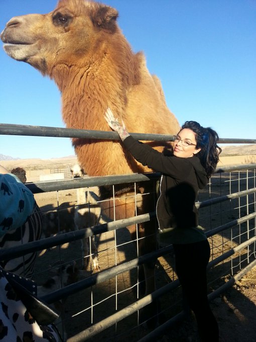 And some cute camels! http://t.co/zGnVaQqvbh