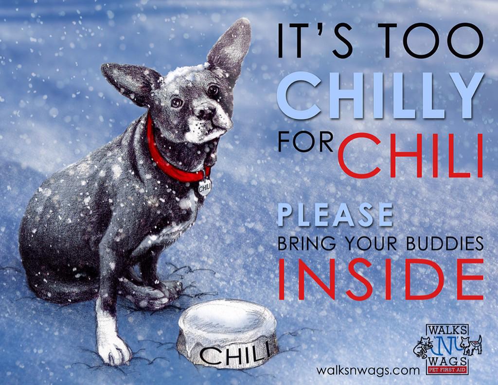 We would like to share our new winter pet safety PSA #ItsTooChillyForChili.  #BlogPawsChat