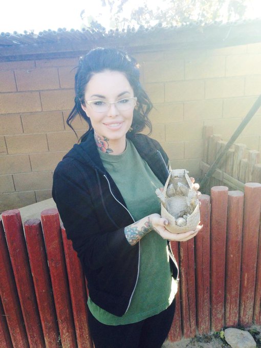 I played with some armadillos too http://t.co/F8QLYeT4Ly<a href="/tag/mackmonday"class="tags"><span>#mackmonday</span></a>