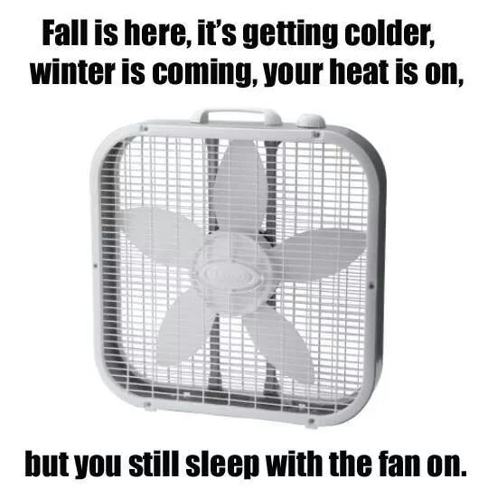 maggiesfavorite's tweet photo. @ryanhclement  #BoxFans http://t.co/FQVW2JwADK