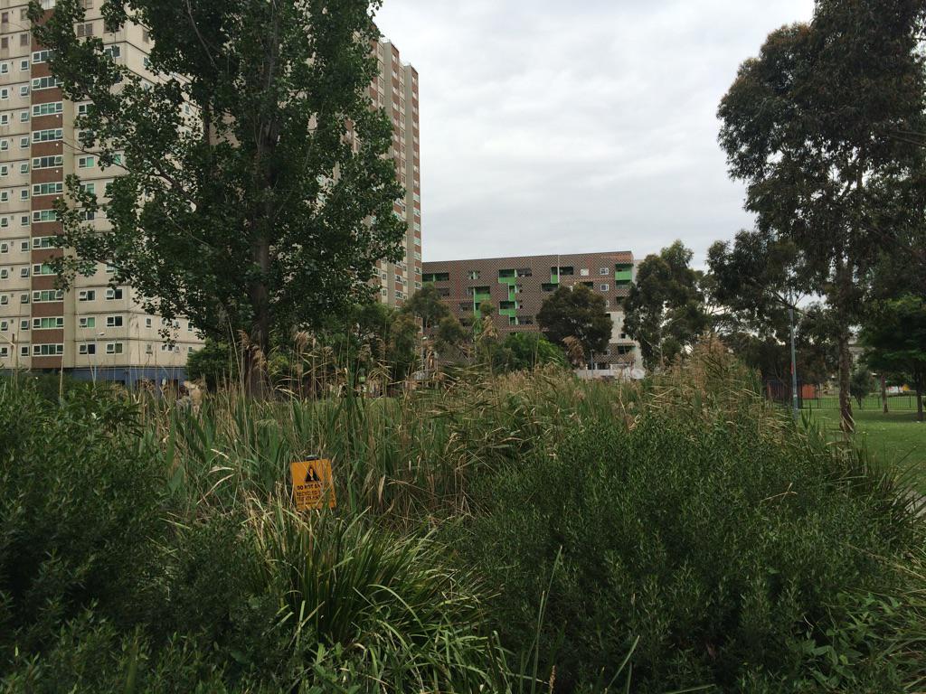 streamgeomorph's tweet photo. “@Alluvium_AU: Dave worked on this greywater system in #Fitzroy 10 years ago.  We happened to be walking past. http://t.co/QboI7icbiU” #wsud