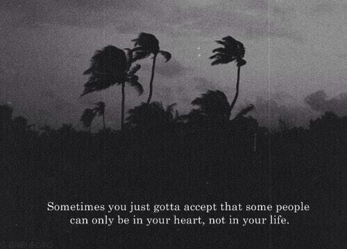 TrvpicalPosts's tweet image. Sad but True