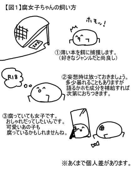 腐女子の生態bot ホモォ O な腐女子ちゃんの飼い方 図１参照 Http T Co Emamnaisro Twitter