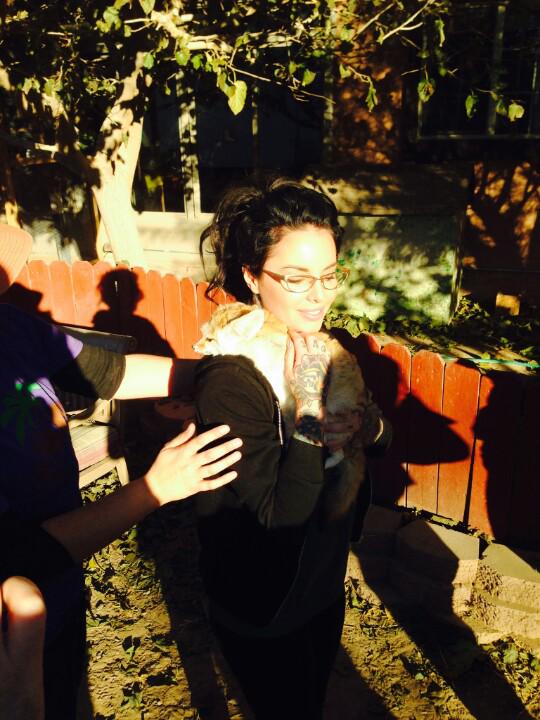 Embedded image permalink