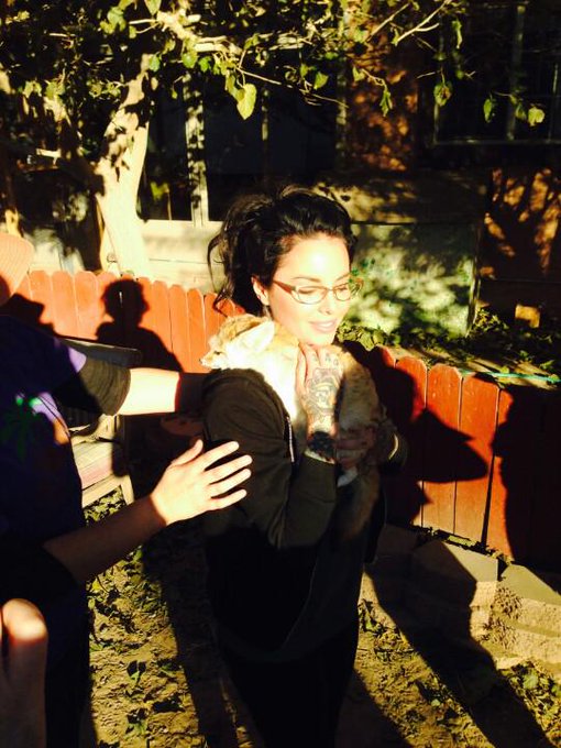 ...and I hugged this little fox http://t.co/YJ1jeosHcJ<a href="/tag/thedailymack"class="tags"><span>#thedailymack</span></a>