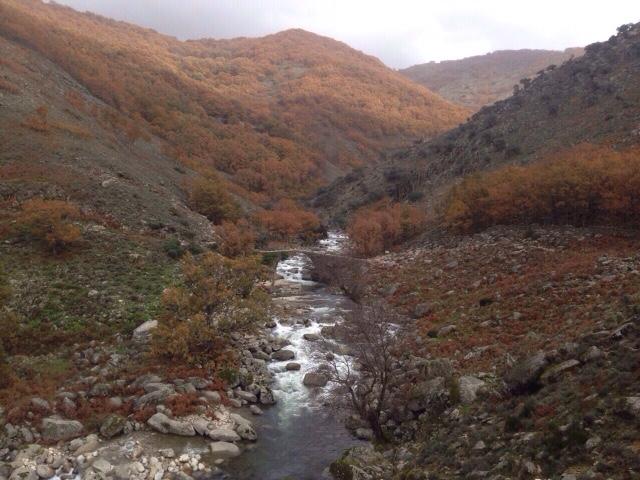 PimentonVera's tweet photo. Buenos dias!!!  Espectacular Otoño en la Comarca de La  Vera y el Valle del Jerte. http://t.co/AIZjmBmVGW
