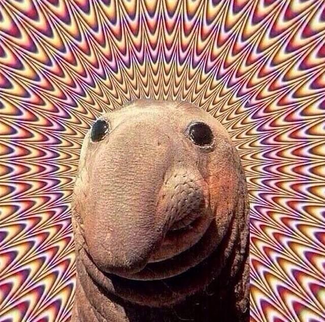 All I need is a ticket to #VortexOpenSource2015 #CTP