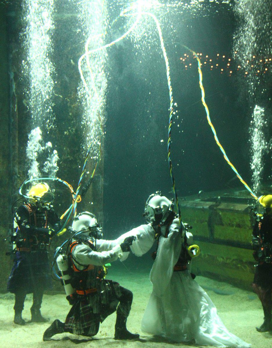 ConfettiWedding's tweet photo. Would you say 'I do' with the fishes? This ultra cool couple did: http://t.co/2xX3rAxcG7 http://t.co/2xfNhzeWjw