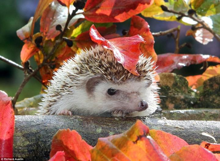 Удачно сфоткали)