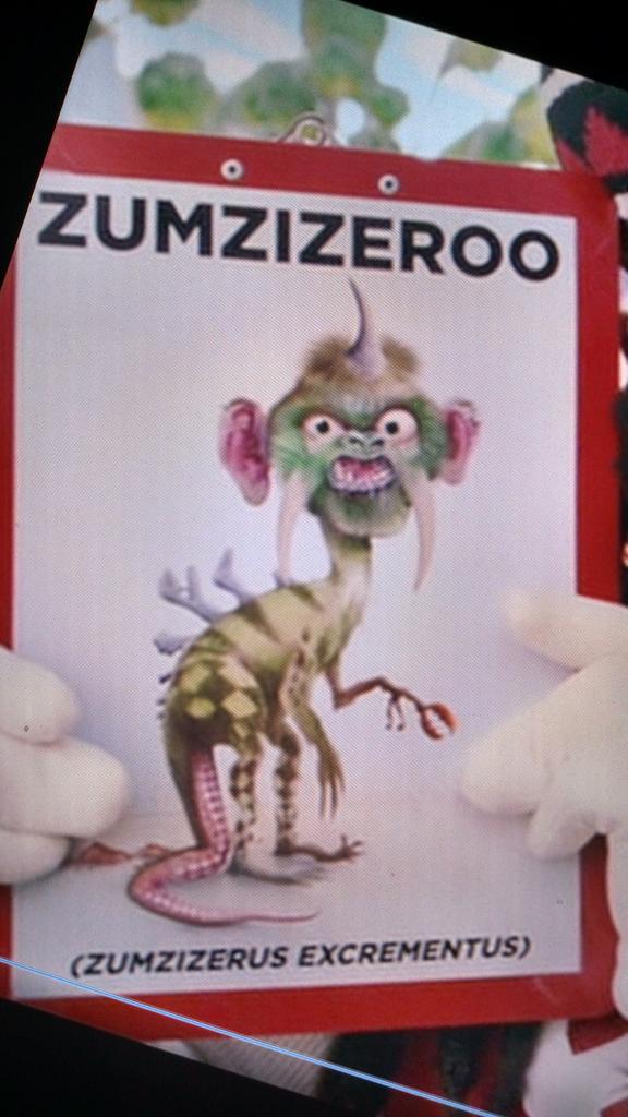 Cat In The Hat Zumzizeroo Best Cat Wallpaper