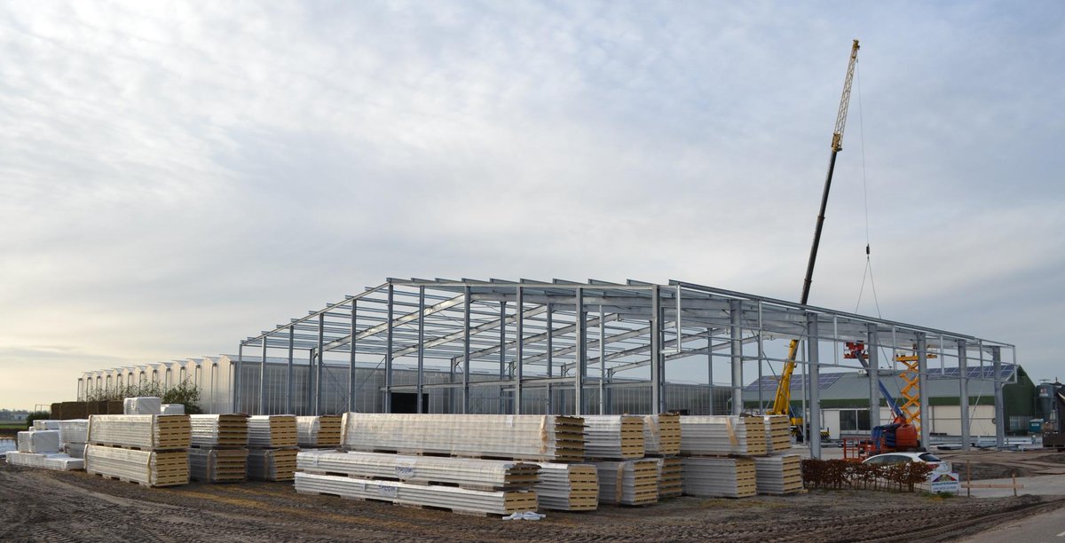 verbeekprojects's tweet photo. Staalbouw van bollenschuur nadert de eindfase. Voor  @BuchnerKassen http://t.co/mJRYAjwS4Y