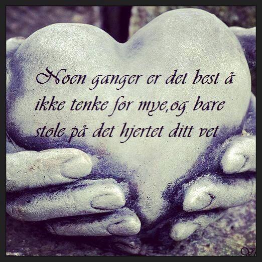 BollBedd's tweet photo. Sitter på eksamen etter å ha liksom stolt på hjertet i høst, men det vet jo ingenting...! http://t.co/hL2oBmRwin