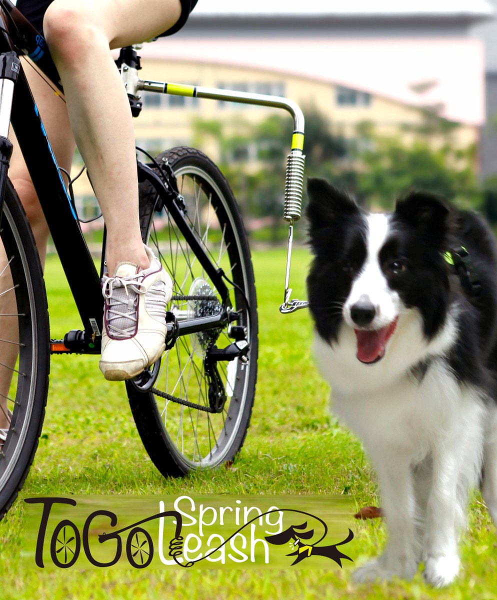 SpringLeashToGo's tweet photo. SpringLeashToGo 
#dog #pet #bike #bicycle #bikewithdog #funnydog #cooldog #beseen #Amazon  http://t.co/tSObPe1UHT http://t.co/4SP9TRDLYX